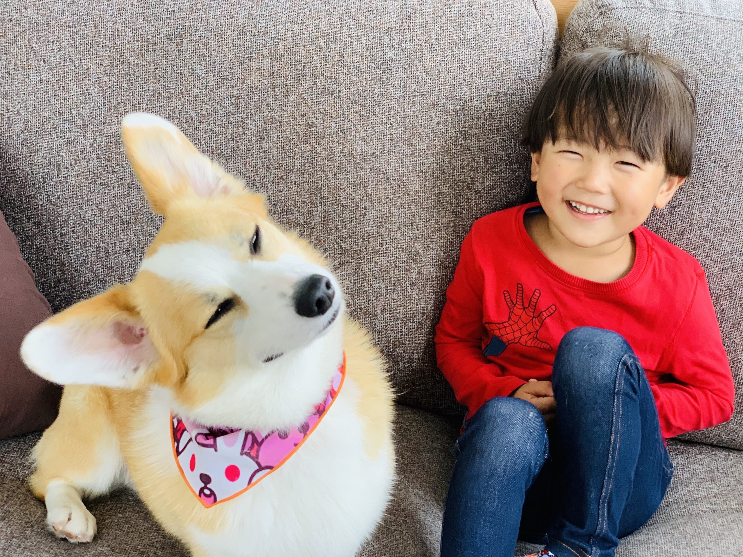 「家族写真のある家族の子どもたちはすくすく育つ」