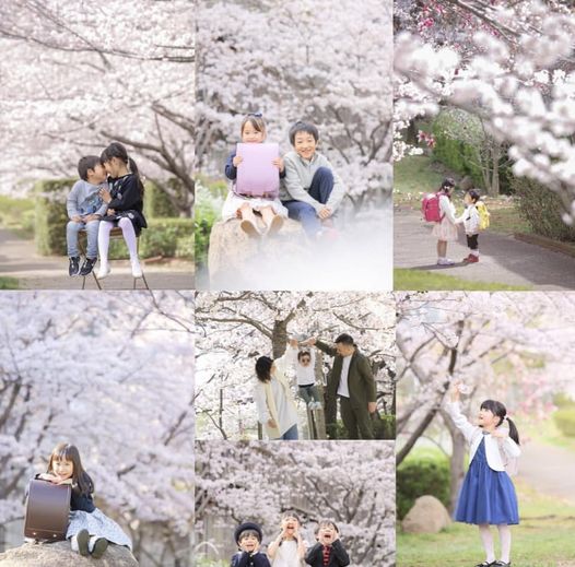 「頭の中はもう桜で満開」